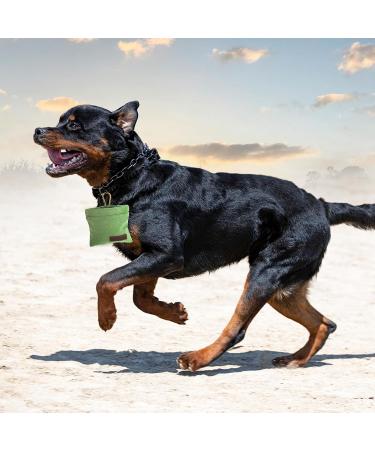 Jeffdad Dog Treats & Free-Handed Feed Bag for Training - Green Carabiner Closure | Perfect for Puppies - Buy Online on GoSupps.com