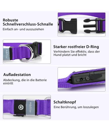 LED Dog Collar - Waterproof Color Changing Adjustable Light Collar for Small & Medium Dogs - Night Safety - PCEOTLLAR - Purple S (28-40cm) - Buy Online on GoSupps.com