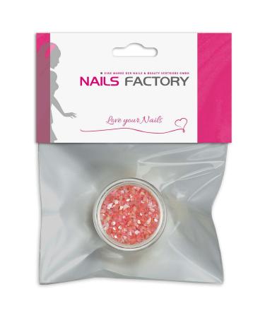 N&BF Nail Art Muschelspleter |Crushed Shells Coral |Perlmutt splinters for gel nails and acrylic modeling |Glitter Sea Shells |Glitzer mussel particles |Musschel inlay's coral