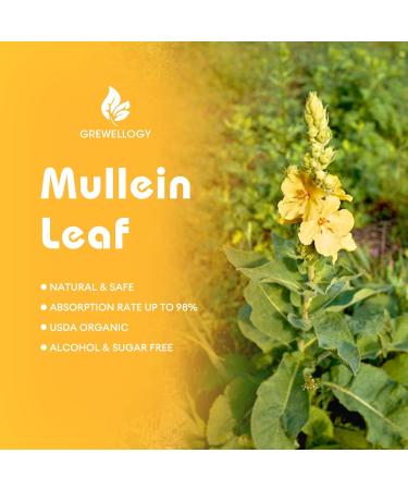 Mullein Drops for Lungs, 7-in-1 1500mg Mullein Leaf Liquid Extract for Lungs Cleanse and Respiratory Support, Lung Detox for Smokers Free Breathing, 2 Fl Oz 2 Fl Oz (Pack of 1) - Buy Online on GoSupps.com