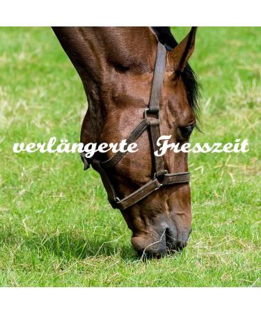 Buy 3x Heunetz Horses Tightly Mesh Feeding Network - 3 Free Carabiners | Enhanced Digestion & Well-Being for Animals - 4.5 kg Dark Blue Hay Grass Food Sack - Buy Online on GoSupps.com