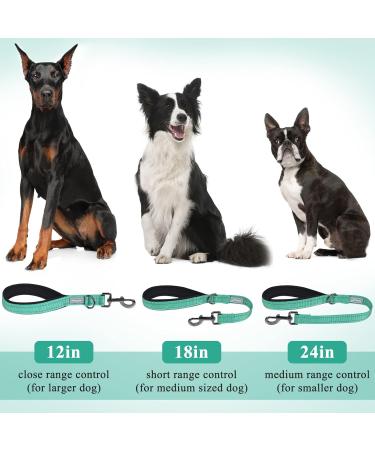 Vivaglory Short Dog Leash - 61 cm Training Line for Medium & Large Dogs - Durable Green Traffic Leash - Buy Online on GoSupps.com