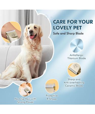 Electric Dog Clippers Cordless Dog Trimmer Low Noise | Pet Grooming Kit Rechargeable & Fast Charging Dog Grooming Clippers with 4 Combs | Professional Cat Hair Trimmer for Dogs Cats Horses Green - Buy Online on GoSupps.com