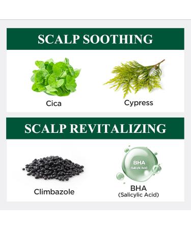 Buy Dr. Groot Microbiome Shampoo for Sensitive Scalps | Soothing Clay Formula with Cica Cypress BHA & Biotin - 13.5 fl oz | International Shipping Available - Buy Online on GoSupps.com