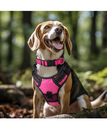 Joytale Reflective Dog Collar for Large Dogs - Hot Pink XL | Durable & Stylish Pet Accessory - Buy Online on GoSupps.com