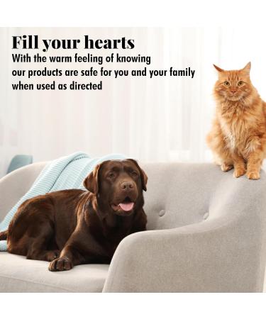 Citrus Magic Pet Odor Absorbing Solid Air Freshener for Home Air Purifier Fresh Citrus Must have Pet Supplies 8 Oz (Pack of 3) - Buy Online on GoSupps.com