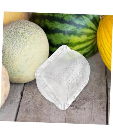 SUPVOX 2pcs Fruit Shaping Fruits Clear Creative Melon Shaper Stereotypes - Buy Online on GoSupps.com