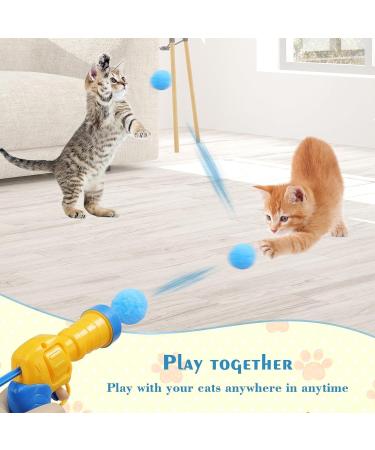 SXFENG Cat Toys Interactive Cat Toy 100pcs Cat Pom Pom Balls with Cat Toy Launcher Cat Toy for Cats and Kittens Toy for Indoor Pets Cat Exercise Training Chasing (100pcs) - Buy Online on GoSupps.com