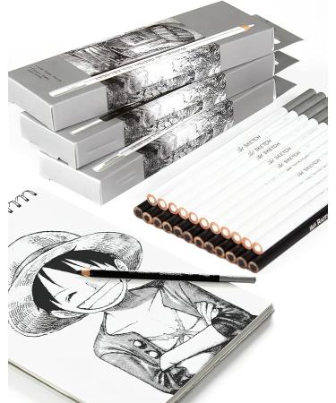 KachiKawa White Charcoal Sketch Pencil Set - 12 Count | Drawing and Painting Special Highlight Pencils - Buy Online on GoSupps.com