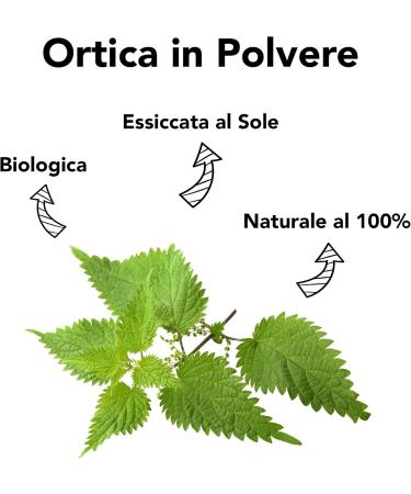 Organic and raw nettle powder - 150 g. Sun-dried nettle leaves to preserve their properties. Nettle powder for herbal tea and tea. Finely ground nettle organic and 100% natural. - Buy Online on GoSupps.com