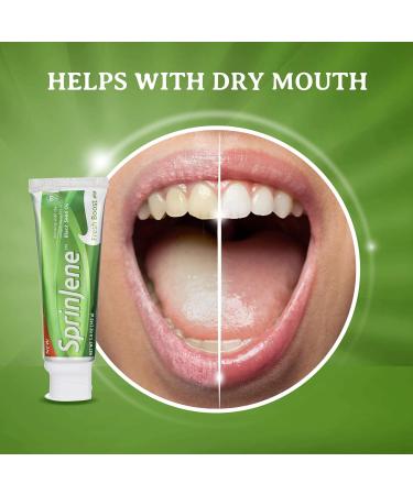 SprinJene Fluoride Toothpaste 2 Pack - Vegan Cruelty-Free Black Seed Oil & Zinc for Natural Teeth Whitening - Fresh Boost 5oz - Buy Online on GoSupps.com