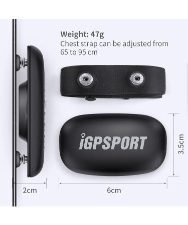 iGPSPORT HR40 Heart Rate Monitor - Waterproof IPX7 Bluetooth & ANT+ Compatible Chest Strap for Running Cycling & Gym Workouts - Buy Online on GoSupps.com