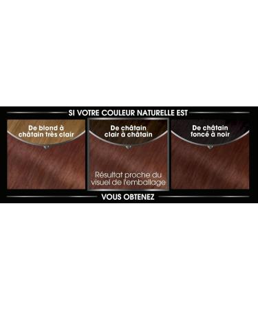 Garnier - Olia - Ammonia-free oil-based chestnut hair dye Ch tain Clair Acajou - Buy Online on GoSupps.com