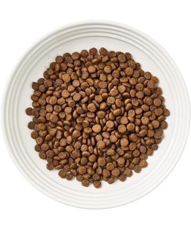Encore Complete and Grain Free Adult Dry Cat Food Chicken 800 g (Pack of 3) - Buy Online on GoSupps.com