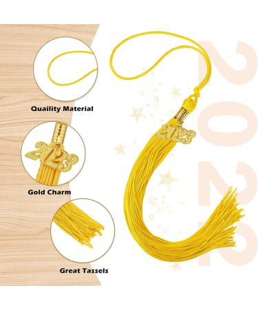 20Pcs Graduation Tassels Academic Graduation Cap Hat Tassel with 2023 Gold Charm for 2023 Graduation Ceremonies Accessories (Gold) - Buy Online on GoSupps.com