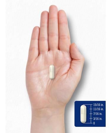 Carlyle L-Arginine 500 mg Capsules | 240 Count | Nitric Oxid Precursor | Free Form Amino Acid | Non-GMO & Gluten Free Supplement - Buy Online on GoSupps.com