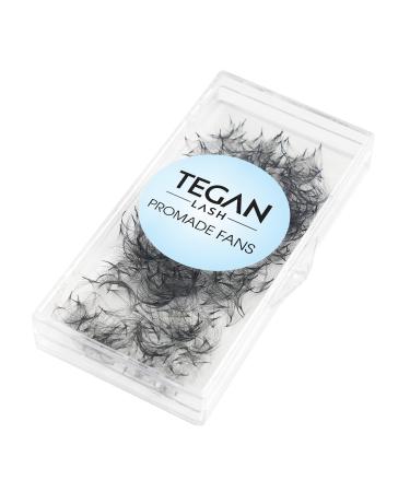 TEGAN LASH 500 Promade Fans Volume Eyelash Extensions Handmade Loose False Eyelashes From 3D - 16D 0.03/0.05/0.07 Thickness C/CC/D Curl 9-15mm Length Pestanas Pelo A Pelo (8D-0.05-CC-13) 8D-0.05-CC 13mm