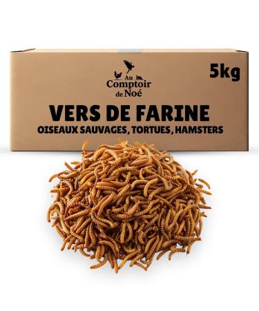 Dried Flour Worms 5 kg Au Comptoir de No 100% Natural Rich in Protein and Good Fats to Fat Flour