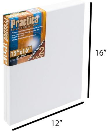 Practica Economy Stretched Cotton Canvas 12x16 - 2-Pack - Acid-Free Acrylic Primed for Acrylics, Pastels, Graphite & More - Buy Online on GoSupps.com