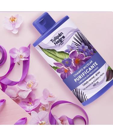 TULIPAN NEGRO Purifying Micellar Shampoo with Mint & Eucalyptus | 13.5 Fl Oz | International Shipping Available - Buy Online on GoSupps.com