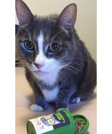 Organic Catnip for Cats - Smokey's Stash OG Puss Potent Catnip (1 Pack) - Buy Online on GoSupps.com