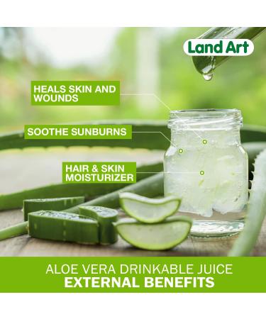 Organic Pure Aloe Vera Juice - Cold-Processed from Texas Fresh Leaves - 50.7 fl oz - Gastrointestinal Aid - Buy Online on GoSupps.com