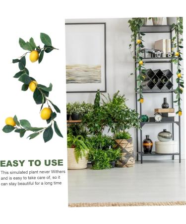TOPBATHY Hanging Vine Fruit Garland Toys 2 Pcs Simulation Lemon Rattan Food Plastic Fake Plant Lemon Berry Vine Green Toys Yellowx2pcs 100x10cmx2pcs - Buy Online on GoSupps.com
