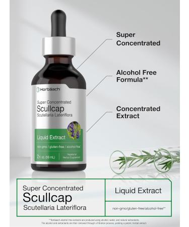 Horb ach Scullcap Herb Liquid Extract | 2 fl oz Tincture | Super Concentrated | Alcohol Free Vegetarian Non-GMO Gluten Free Skullcap Supplement - Buy Online on GoSupps.com