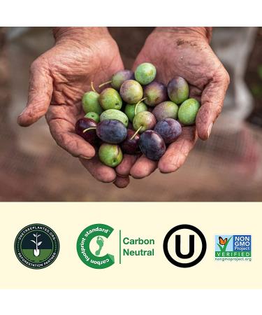 O-Live & Co. Robust First Cold-Pressed Extra Virgin Olive Oil - Gold Medal Awarded - Estate Grown - Bold Flavor - 25 Fl Oz - Perfect for Cooking and Baking - Buy Online on GoSupps.com