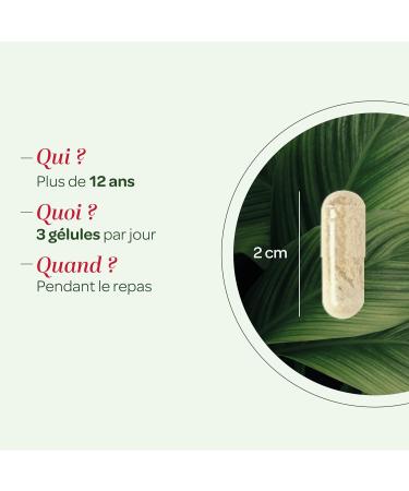 SUPERDIET - ORGANIC SKIN BEAUTY QUARTET - Burdock Nettle Dandelion Carrot -Phytotherapy -Made in France - 150 capsules - Buy Online on GoSupps.com
