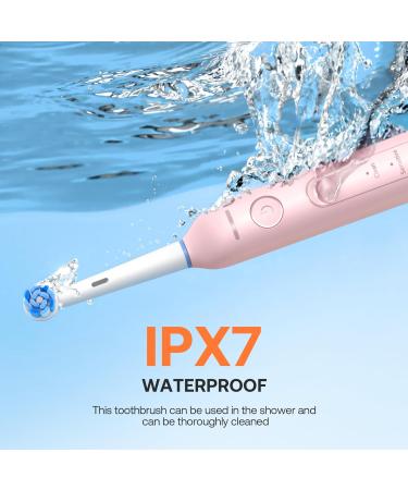 Bitvae Rotating Electric Toothbrush 2 Packs for Adults with Pressure Sensor Gifts for Men/Women 5 Modes Rechargeable Power Toothbrush with 8 Brush Heads Black & Pink R2 Black & Pink 2 Packs - Buy Online on GoSupps.com