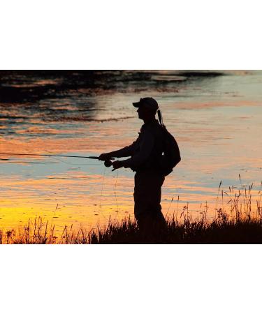 Balanced Leech Fly Collection - Size 8, Set of 6 - 2 Colors - Bead Head Jig Lake Streamer Wet Flies - Buy Online on GoSupps.com