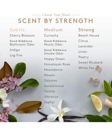 Aera Beach House Home Fragrance Scent Refill, Clean Formula with Notes of Ocean Air and Gardenia - Works with Aera Smart Diffuser - Buy Online on GoSupps.com