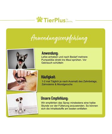 Exvital TierPlus Dental Spray for Dogs - Natural Tartar Remover & Breath Freshener 100ml - Made in Germany - Buy Online on GoSupps.com