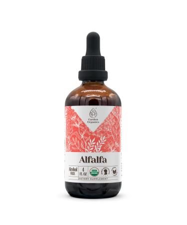 Alfalfa USDA Organic Alcohol-Free Extract | Dietary Supplement High-Potency Tincture | Natural Certified Organic Alfalfa Dried Leaf (4 oz) 4 Fl Oz (Pack of 1)