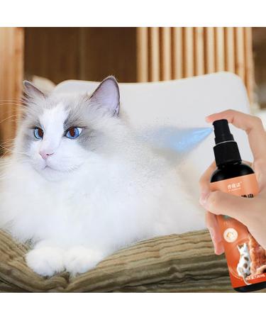 Cat Detangler Spray Matted Remover for Cats | 100ml Essential Oils Infused Matted Remover and Cat Detangler Spray with E Pet Supplies for Healthy Hair Shakven - Buy Online on GoSupps.com