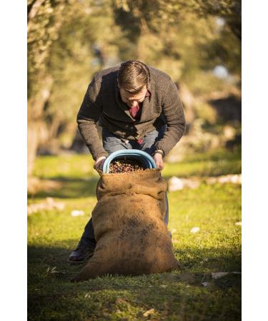 Buy Award-Winning Jordan Bio Olive Oil - 5L Greek Organic Olive Oil from Lesbos - Cold-Pressed & Handpicked - Buy Online on GoSupps.com