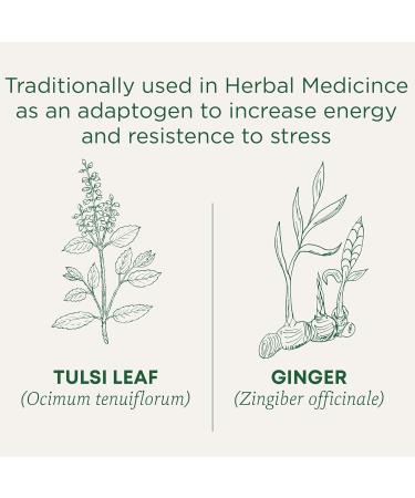 Traditional Medicinals - Organic Tulsi with Ginger Herbal Tea (Pack of 1) - Adaptogen That Helps Increase Energy and Stress Response - 16 Tea Bags Total Tea Tulsi with Ginger 1 Count (Pack of 1) - Buy Online on GoSupps.com