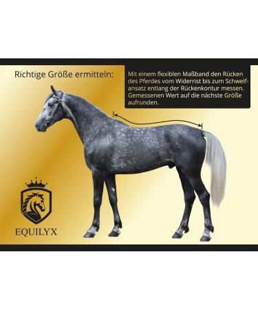Buy Equilyx Sweat Ceiling Horse Blanket - Perfect Fit Fleece-Lined Moisture Absorbing & Breathable (Black 135) for Ultimate Comfort and Warmth - Buy Online on GoSupps.com