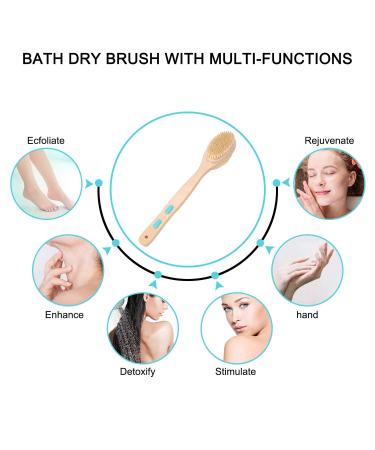 Onlylove Body Brush for Wet & Dry Use | Long Wooden Handle Shower Brush | 1 Count - Buy Online on GoSupps.com