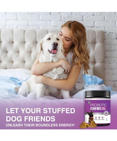 Probiotics for Dogs Dog Probiotic Chews and Digestive Enzymes Prebiotic Health Gut Itchy Skin Probioticos Itching Diarrhea Chew Supplements Canine Pet Prebiotics 200 Natural Soft Chewable Tablets - Buy Online on GoSupps.com