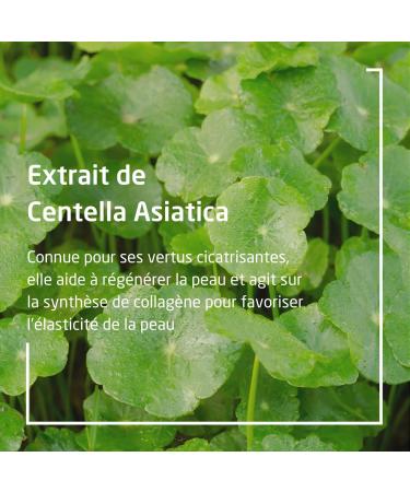 Weleda Bio Mama Damm Massage Oil & Body Butter - Vegan Natural Cosmetics for Pregnancy | Nourish Your Baby Bump - Buy Online on GoSupps.com