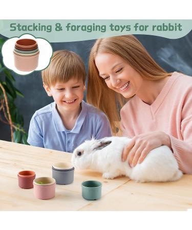 Stacking Cups for Rabbits-BPA-Free Safe Plastic Stacking Toys Rabbit Toys Bunny Toys for Hiding Food and Playtime Fun(8 Pack) - Buy Online on GoSupps.com