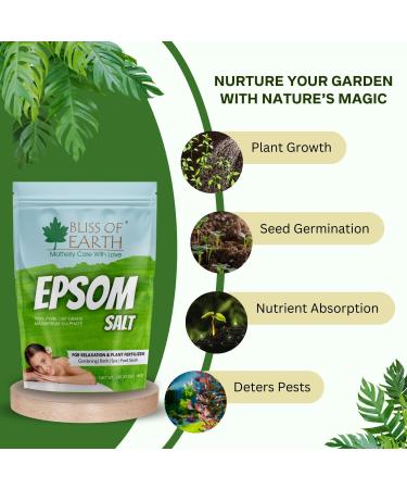 Bliss of Earth Sel d'Epsom pour bain plantes et pieds sulfate de magn sium naturel relaxant pour soulager les muscles aromath rapie v g talien sans cruaut envers les animaux (1 kg) - Buy Online on GoSupps.com