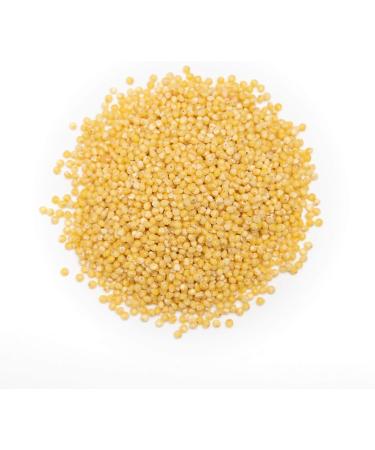 Forest Whole Foods Organic Hulled Millet - 1kg - Buy Online on GoSupps.com