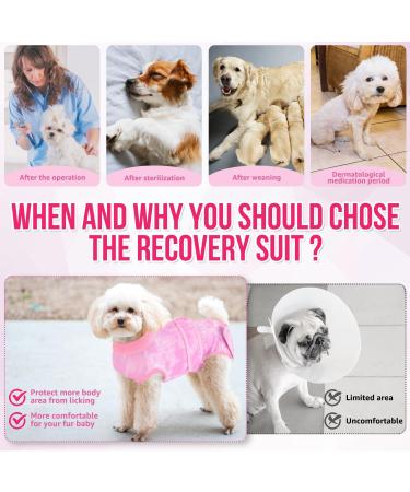 Eyein Dog Surgery Recovery Suit XXL Tie-dye Pink - Abdominal Wound Protector for Female Male Dogs - Prevent Licking Spay Shirt - Zippered Onesie & Cone E-Collar Alternative - Buy Online on GoSupps.com