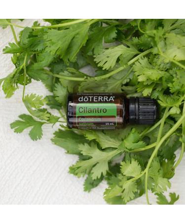 doTERRA Cilantro Essential Oil 15 mL | Pure Aromatherapy for International Shipping - Buy Online on GoSupps.com