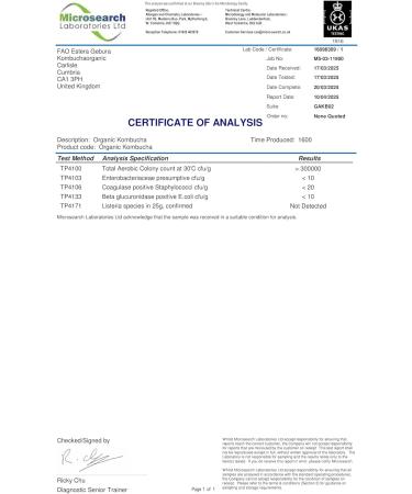 Organic Kombucha Scoby - Live Culture by Dpnamron - Buy Online on GoSupps.com