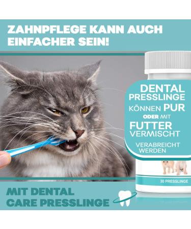 HelloAnimal Dental Pressing for Dogs & Cats | Tartar Remover & Dental Care Treats | Freshens Breath & Cleans Teeth - Buy Online on GoSupps.com