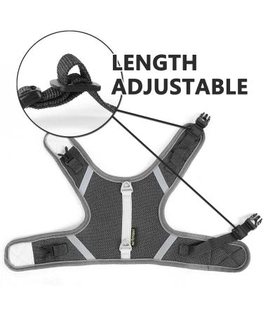 Premium Cat Dishes with Leash - Outbreak-Proof Cat Harness & Dishes Set for Large Cats | Breathable & Reflective Design (Gray) - Buy Online on GoSupps.com